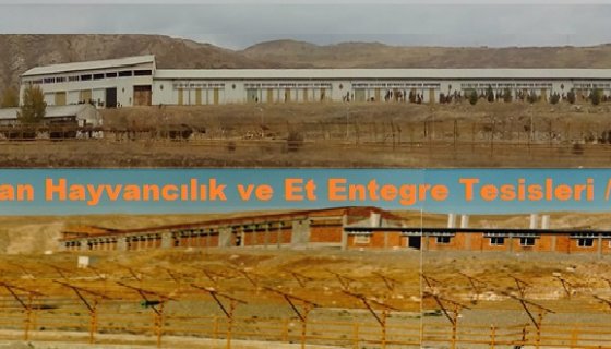ENTEGRE TESİSLERİ
